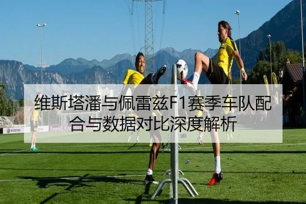 维斯塔潘与佩雷兹F1赛季车队配合与数据对比深度解析